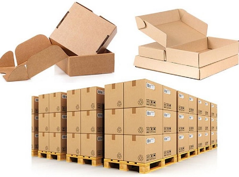Phân tích xu hướng và thị trường hộp carton tại Việt Nam