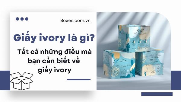 Hình ảnh so sánh giấy Ivory FBB và Ivory Kraft, thể hiện rõ sự khác biệt về bề mặt và độ dày.