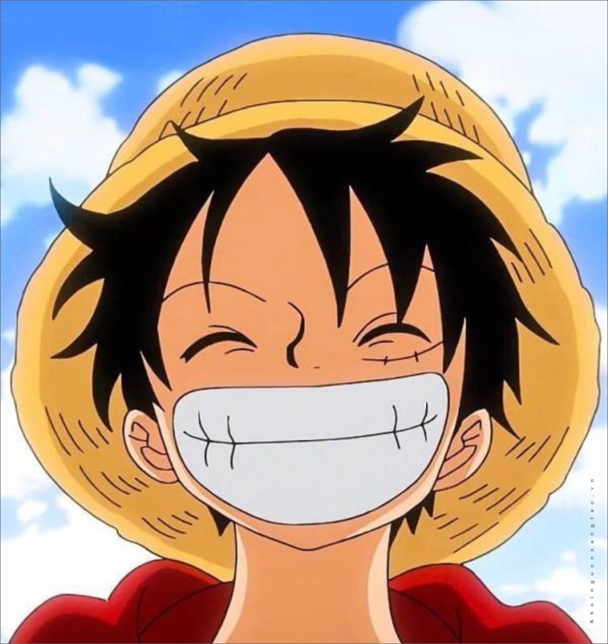 anh luffy anh luffy