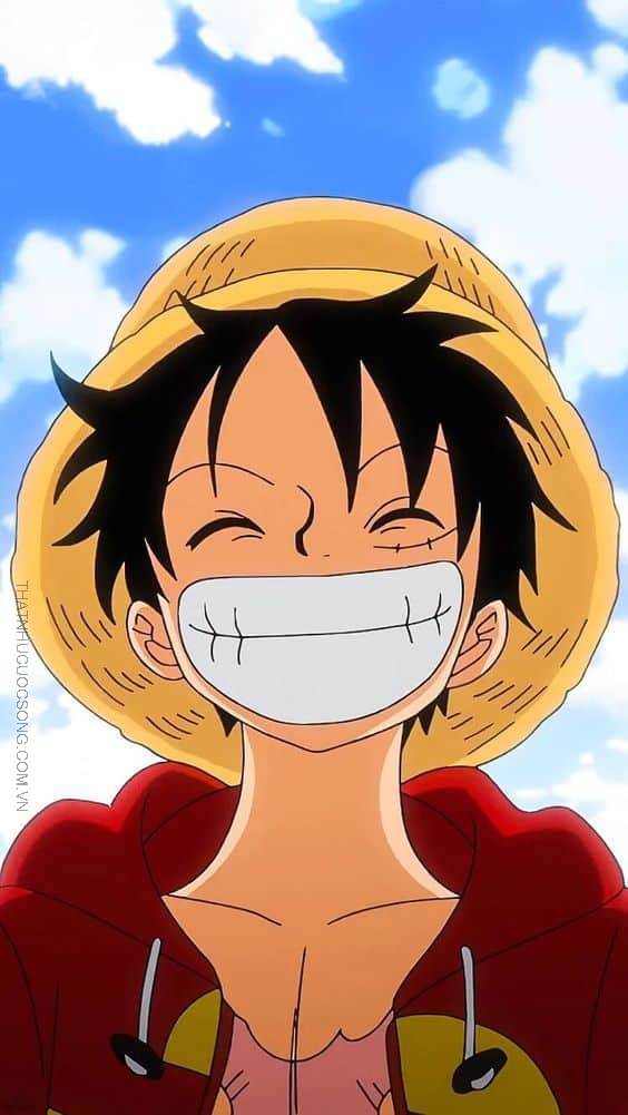 anh luffy anh luffy
