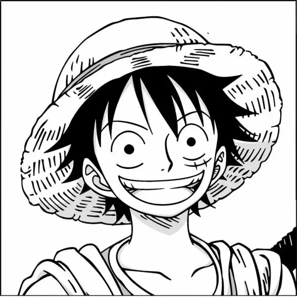 Tạo ấn tượng mạnh với tranh tô màu Luffy ngầu, đậm chất cá tính!